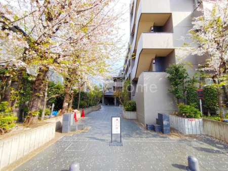 nOώʐ^@-
