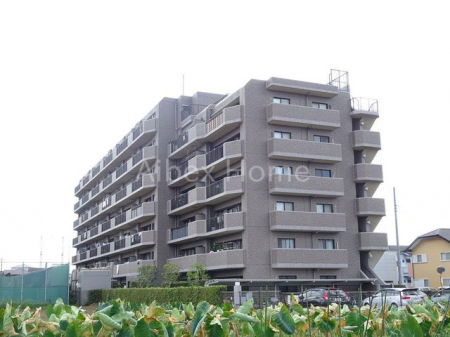 現地外観写真　-
