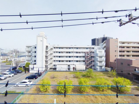 ̑@쓌