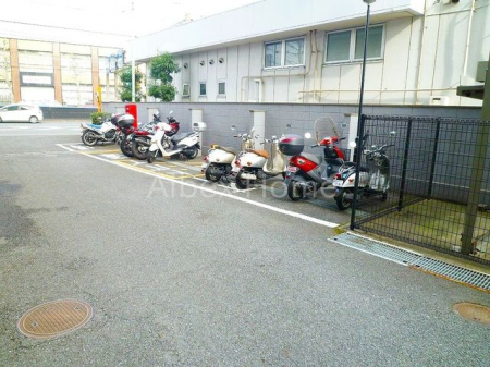̑@oCNu