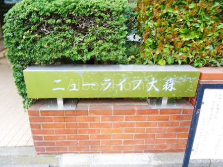 ̑@-
