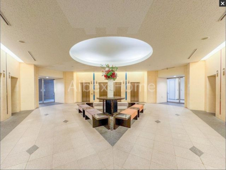 �G���g�����X�@-