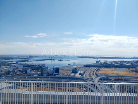 ���̑��@�X�J�C�e���X