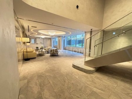 �G���g�����X�@-