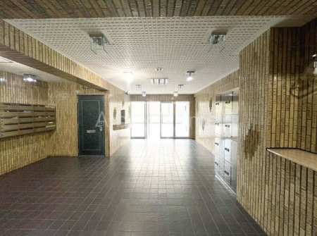 �G���g�����X�@-