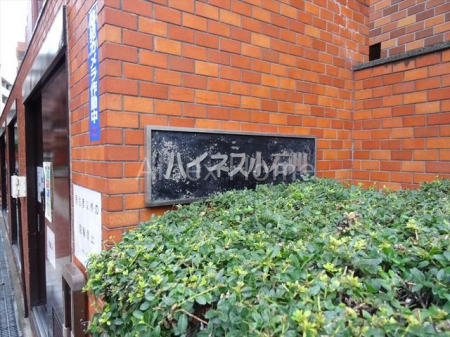 �G���g�����X�@-