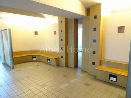 �G���g�����X�@-