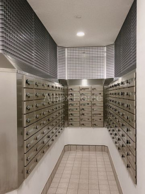 �G���g�����X�@-