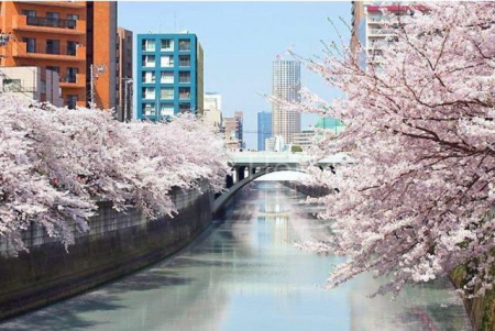 ���̑��@�t�̖ڍ���