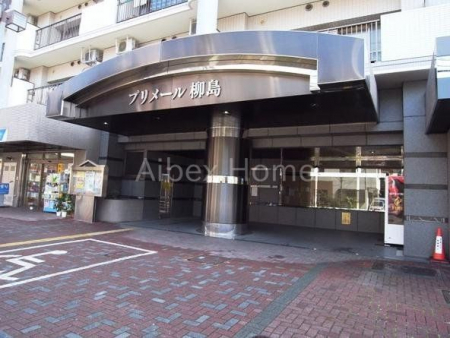 �G���g�����X�@-