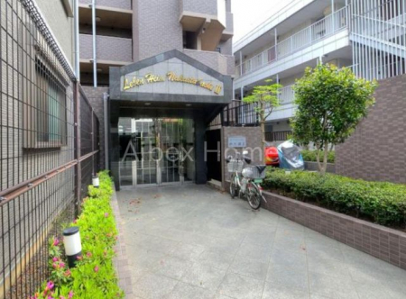 �G���g�����X�@-