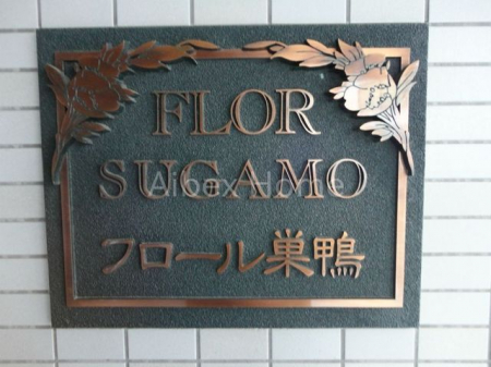 �G���g�����X�@-