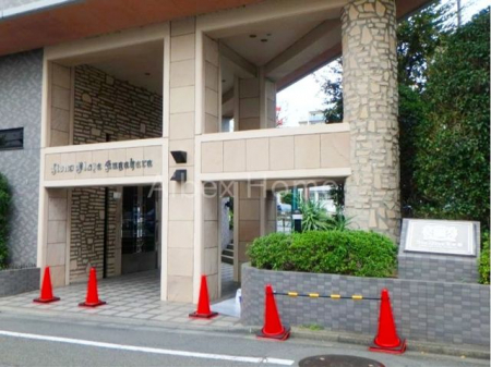 �G���g�����X�@-