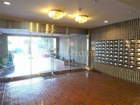 �G���g�����X�@-