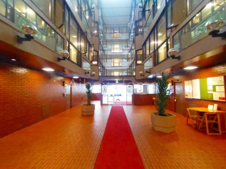 �G���g�����X�@-