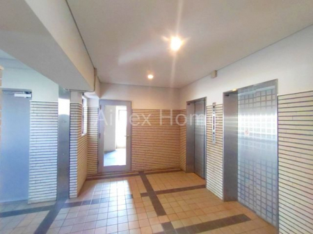 �G���g�����X�@-