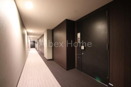 ���̑��@���L��