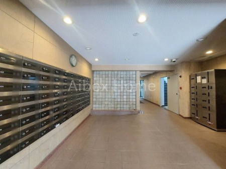 �G���g�����X�@-