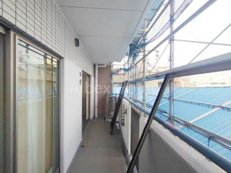 �o���R�j�[�@��K�͏C�U�H�����{��