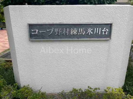 �G���g�����X�@-