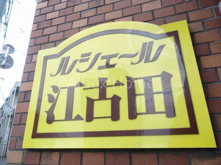 �G���g�����X�@-