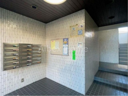 �G���g�����X�@-