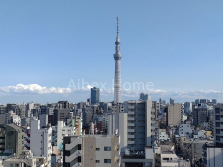 ���̑��@�X�J�C�c���[�r���[