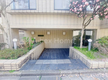 �G���g�����X�@-