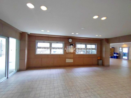 �G���g�����X�@-