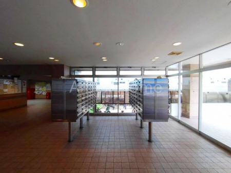 �G���g�����X�@-