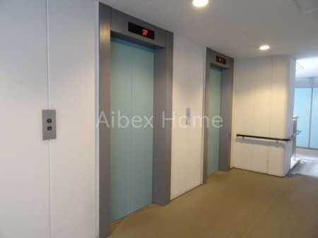 ���̑��@���̑����L��