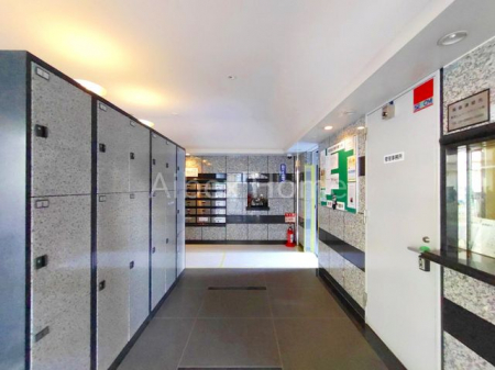 �G���g�����X�@-