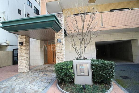 �G���g�����X�@-