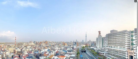 ���̑��@�X�J�C�c���[�r���[