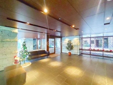 �G���g�����X�@-