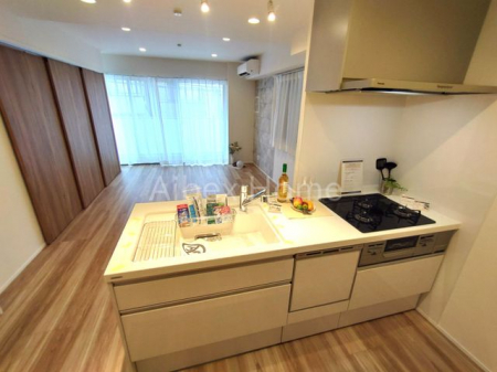 ���ӊ��@�T�~�b�g�X�g�A�a�J�{���X �k��3���B 240m